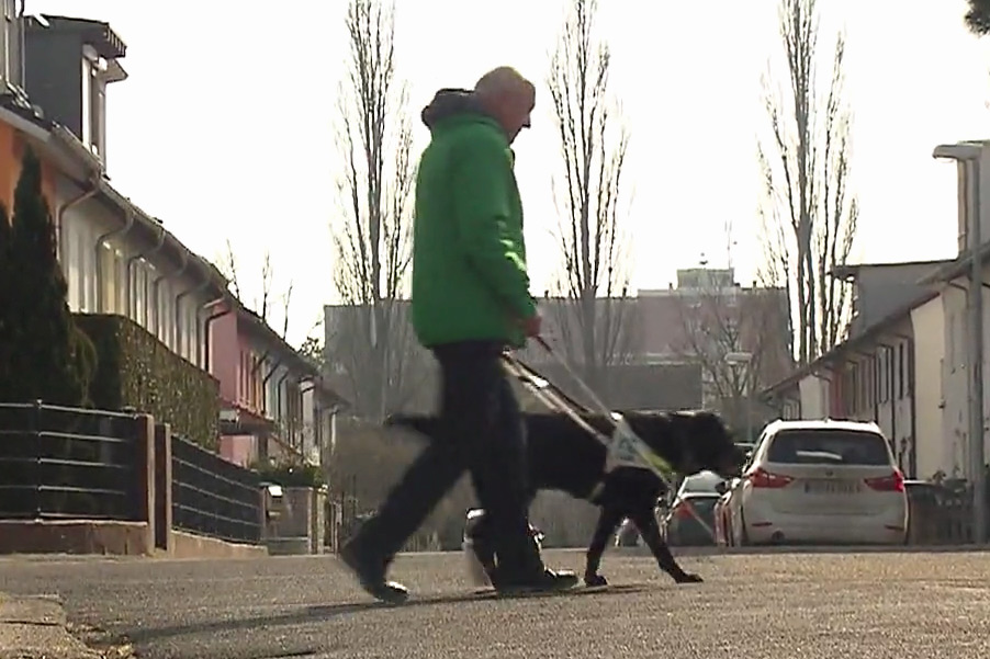 Screenshot aus der SWR-Doku. Ein Mann geht mit seinem Führhund über die Strasse.