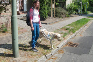 Das Gespann steht am Strassenrand und wartet auf das Signal.
