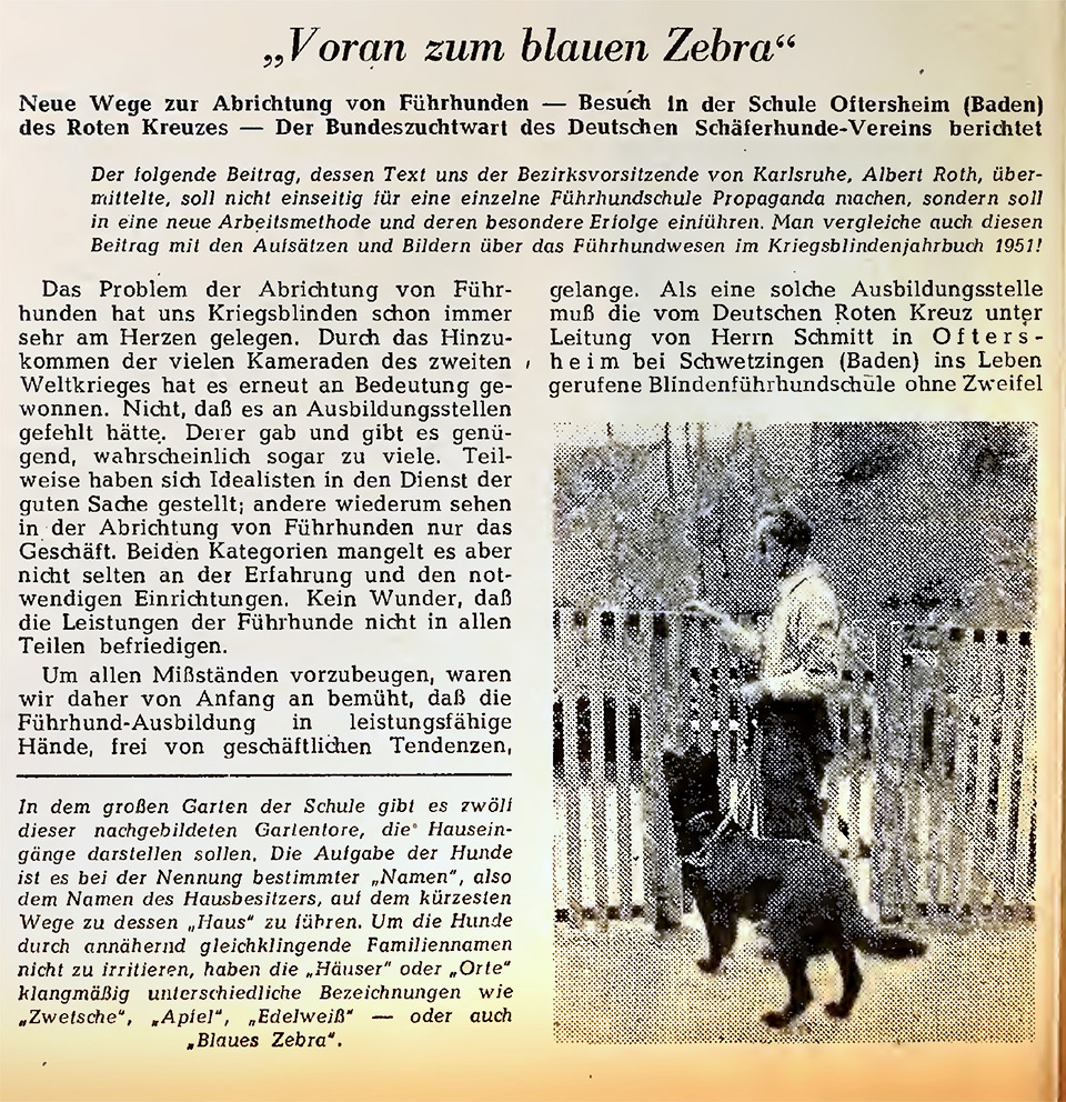 Im Artikel ist ein Foto zu sehen auf welchem ein Mann mit Schäferhund vor einem Lattenzaun steht.