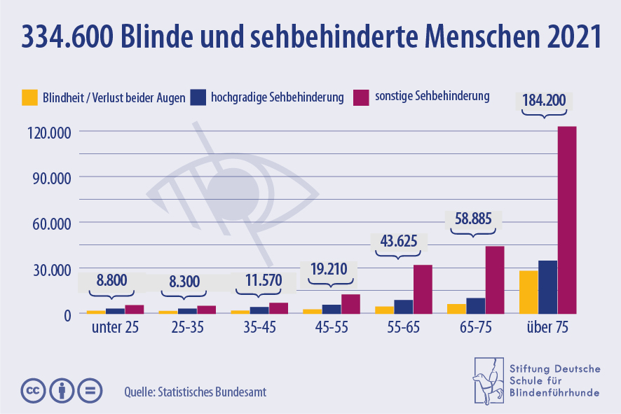 Blinde und sehbehinderte Menschen in Deutschland nach Altersklassen im Jahr 2021.