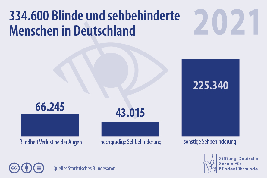 334.600 Blinde und sehbehinderte Menschen in Deutschland im Jahr 2021.
